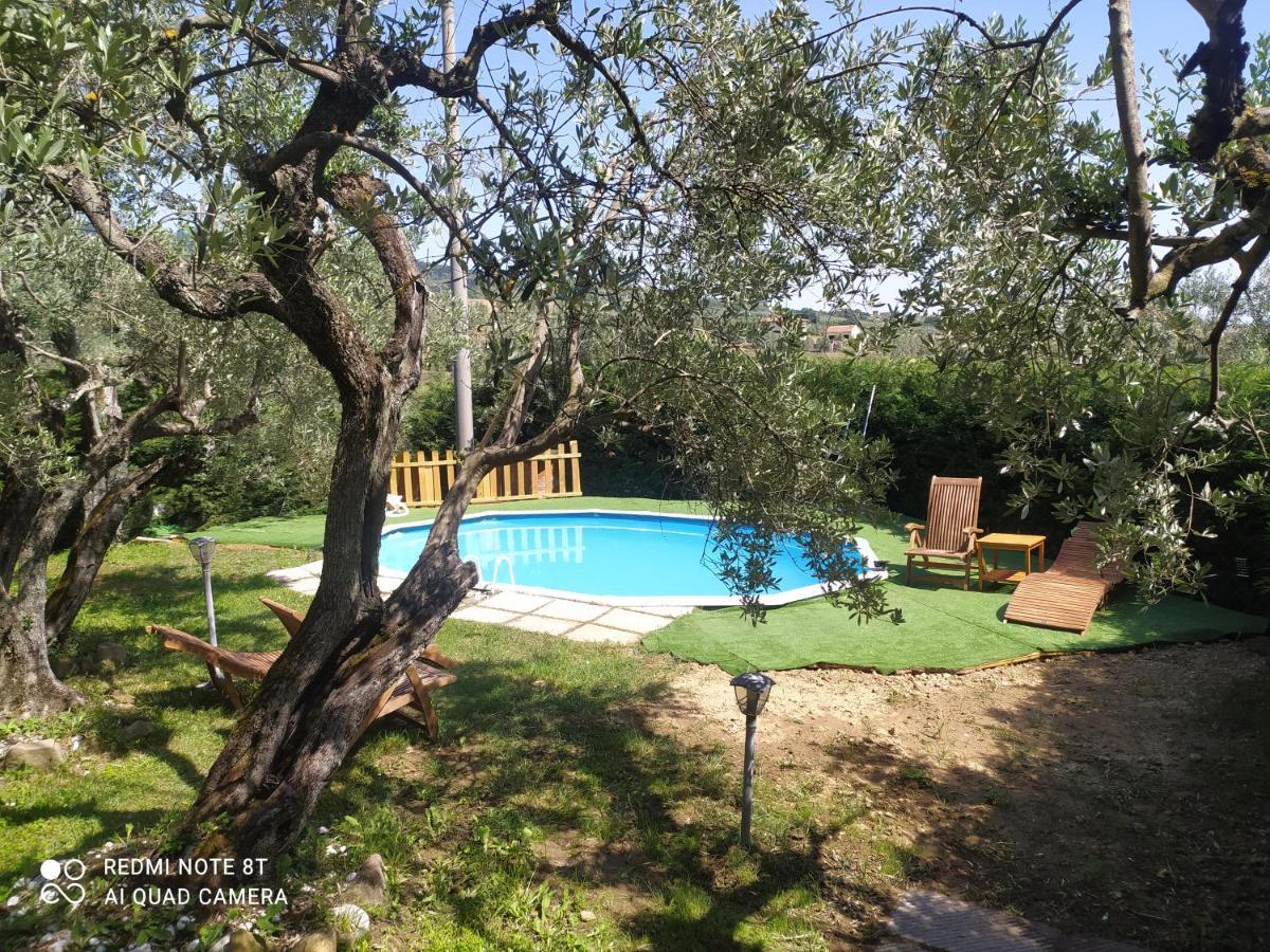 Il Borgo Dei Pini Apartment Vinci Exterior foto