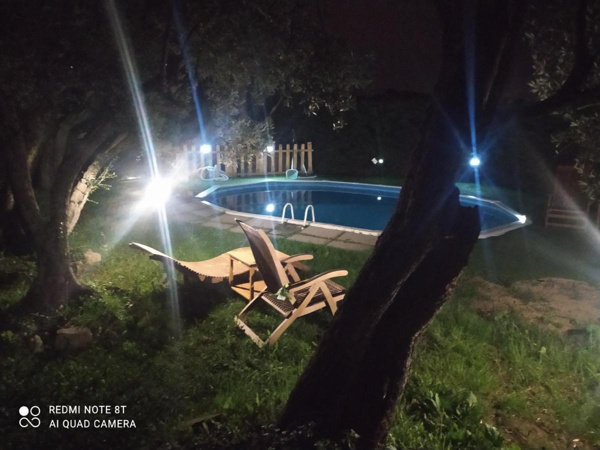 Il Borgo Dei Pini Apartment Vinci Exterior foto