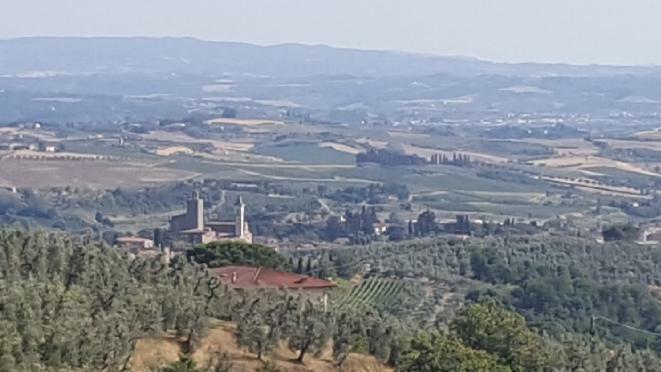 Il Borgo Dei Pini Apartment Vinci Exterior foto