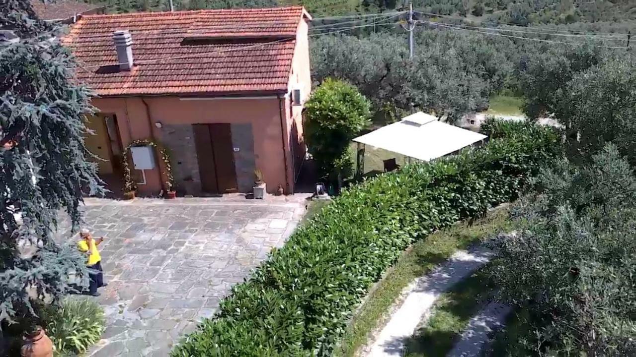 Il Borgo Dei Pini Apartment Vinci Exterior foto