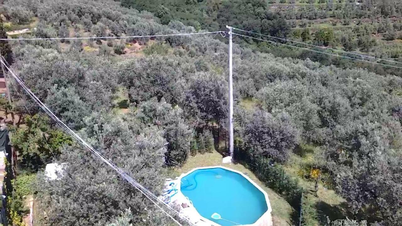 Il Borgo Dei Pini Apartment Vinci Exterior foto