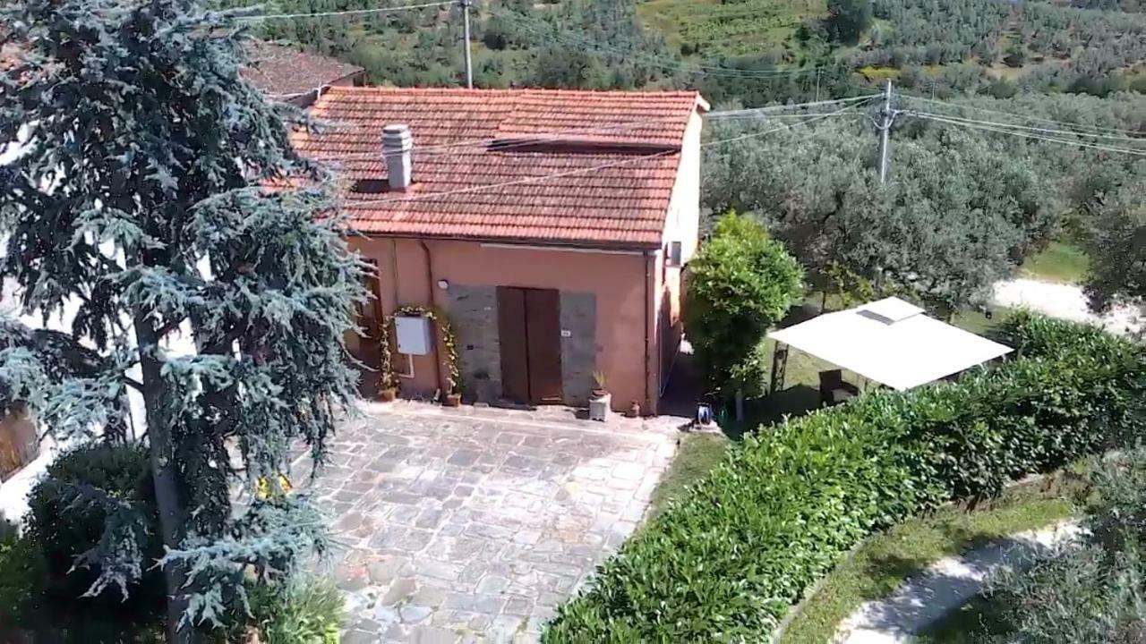 Il Borgo Dei Pini Apartment Vinci Exterior foto